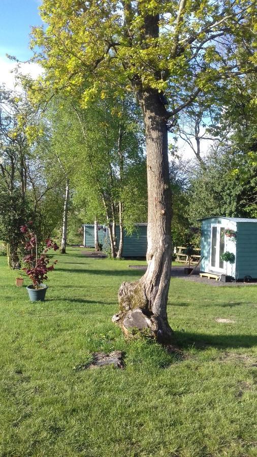 Hopgarden Glamping Luxury Shepherds Huts Wadhurst Exterior photo